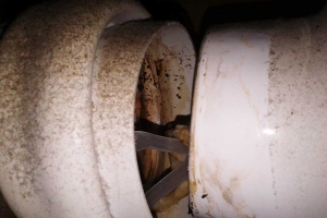 Ummistuse-põhjuseks-WC-lõhnaseebikorpus-mis-takerdus-poti-äravoolu