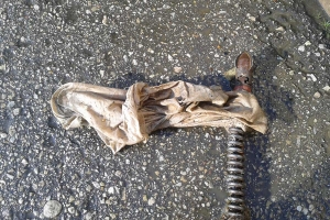 Ummistuse-põhjuseks-kalts